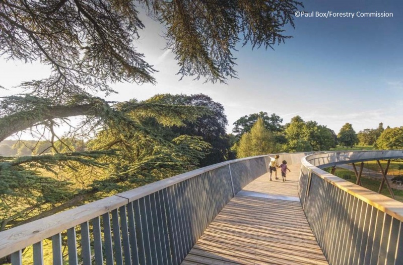 File:Stihl Aerial Walkway-1.jpg