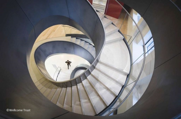 Wellcome Collection Dynamic Stair, London - SteelConstruction.info